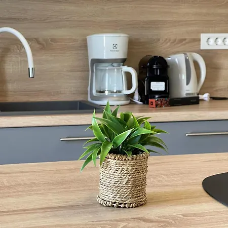 Apartmán Bonum By Interhome *